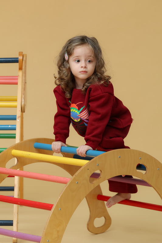 Set / Insect burgundy